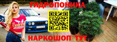 синтетический гашиш Бийск