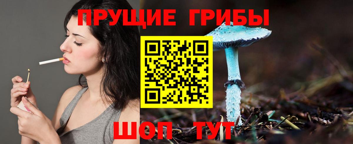 сколько стоит  Галлюциногенные грибы прущие грибы  Кисловодск  Вход с VPN  Галлюциногенные грибы Psilocybine cubensis 
